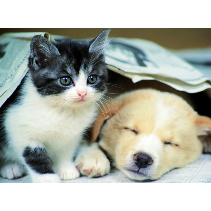 Nathan - Wach auf und spiel mit mir - 500 Teile