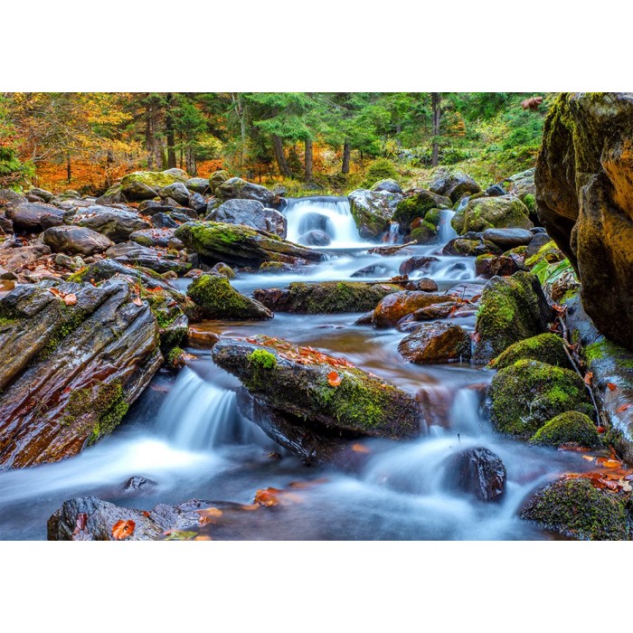 Enjoy Puzzle - Forest Stream in Autumn - 1000 Teile