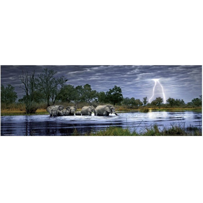 Heye - Alexander von Humboldt: Herde Elefanten - 2000 Teile