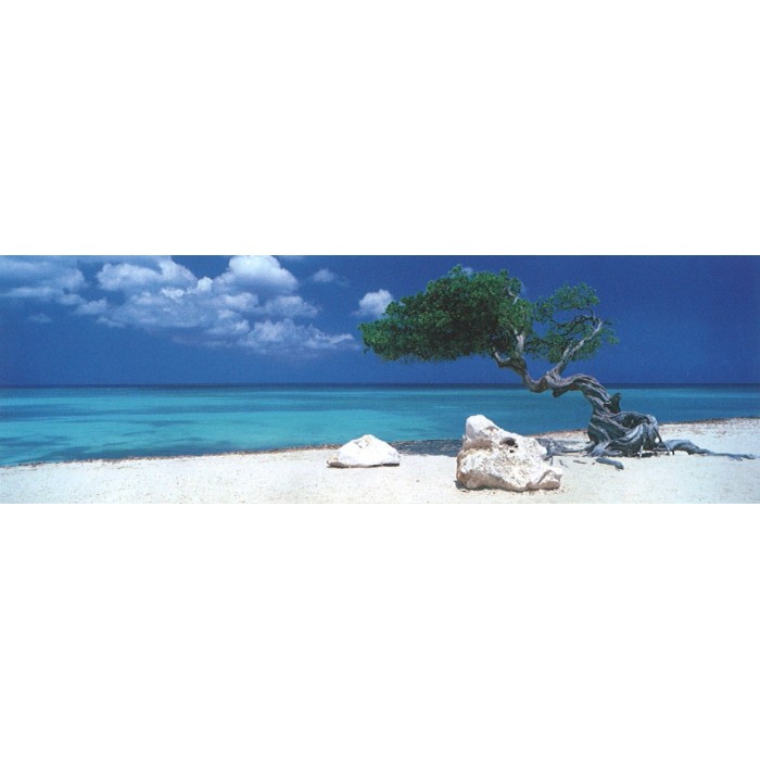 Heye - Alexander von Humboldt: Divi Divi Tree - 1000 Teile