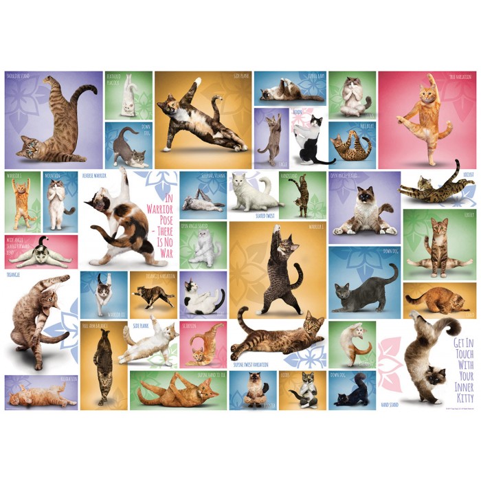 Eurographics - Yoga Cats - 1000 Teile