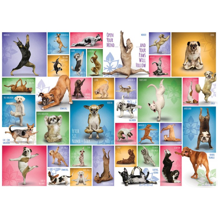 Eurographics - Yoga Dogs - 1000 Teile