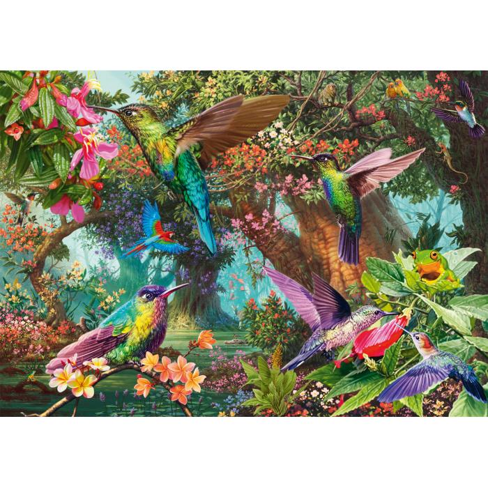 Schmidt Spiele - Kolibri-Farbenspiel - 1000 Teile