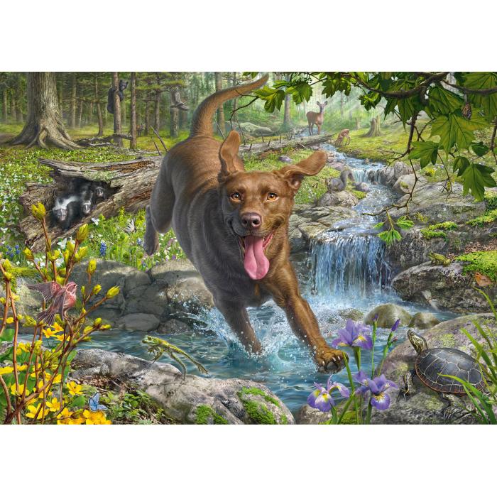 Schmidt Spiele - Mark Fredrickson - Retriever im Frühling - 1000 Teile