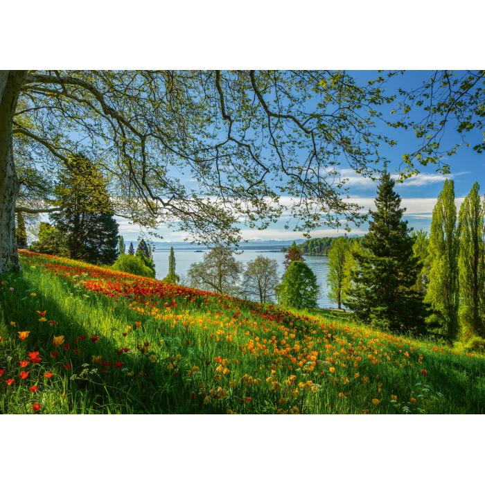 Schmidt Spiele - Frühlingsallee zur Tulpenblüte - Insel Mainau - 1000 Teile