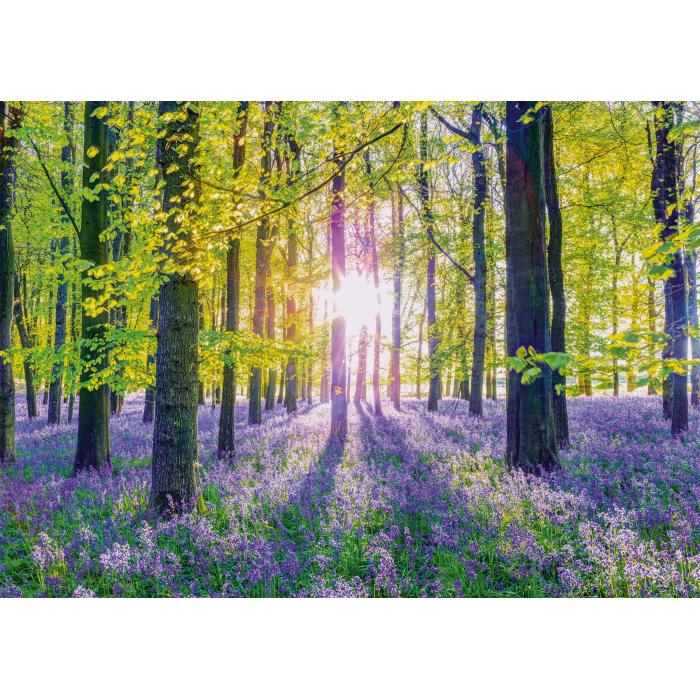 Schmidt Spiele - Zarte Glockenblumen im Wald - 1000 Teile