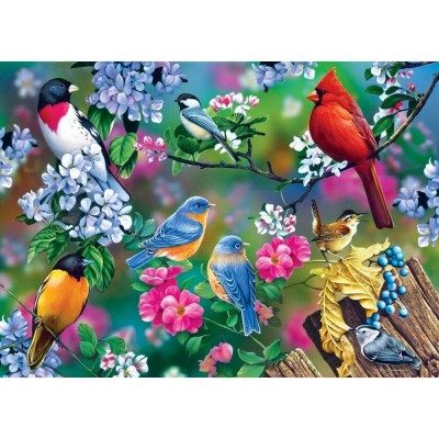 Master Pieces Audubon - Singvogel-Collage 1000 Teile Puzzle Master-Pieces-31977