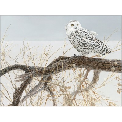 Cobble Hill XXL Teile - Fallen Willow Snowy Owl 500 Teile Puzzle Cobble-Hill-45050
