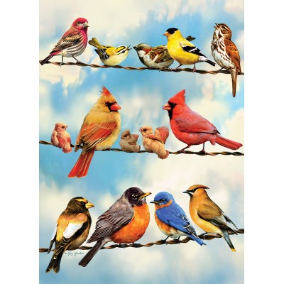 Cobble Hill XXL Teile - Birds on a Wire 500 Teile Puzzle Cobble-Hill-45046