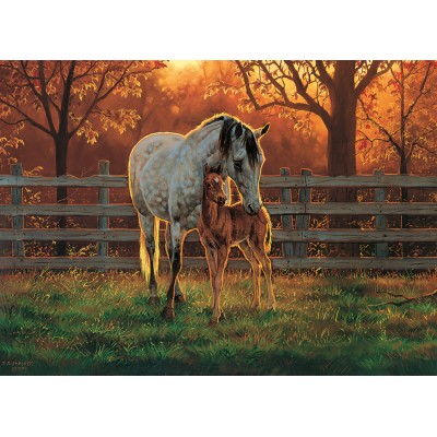Cobble Hill XXL Teile - Quiet Time 500 Teile Puzzle Cobble-Hill-45002
