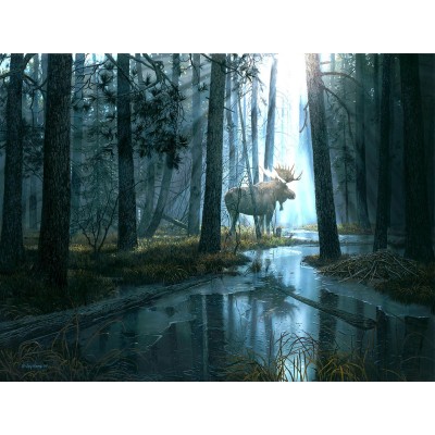 SunsOut XXL Teile - Vom Licht gefangen 300 Teile Puzzle Sunsout-17602