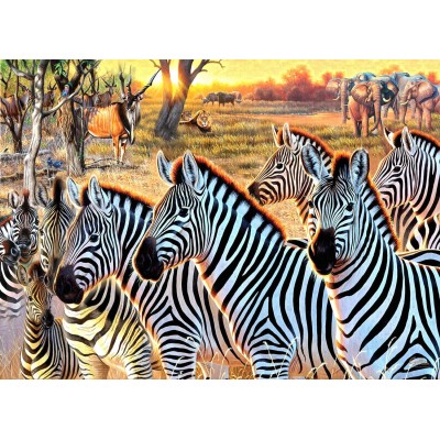 SunsOut XXL Teile - Zebras und Freunde 500 Teile Puzzle Sunsout-70970
