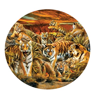 SunsOut XXL Teile - Lori Schory - Tigers Galore 500 Teile Puzzle Sunsout-35124