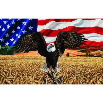 SunsOut Amber Waves of Grain 1000 Teile Puzzle Sunsout-45809