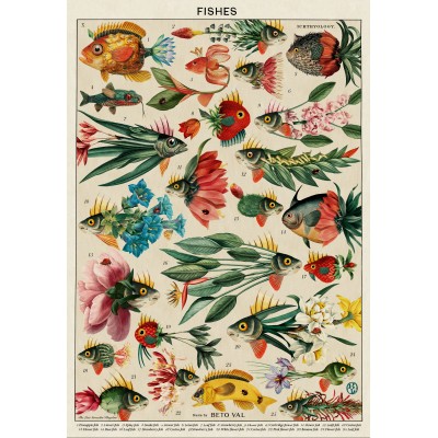 Grafika Fische 1000 Teile Puzzle Grafika-F-33812
