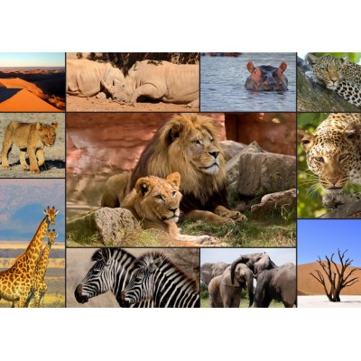 Grafika Collage - Wildlife 1500 Teile Puzzle Grafika-F-30026