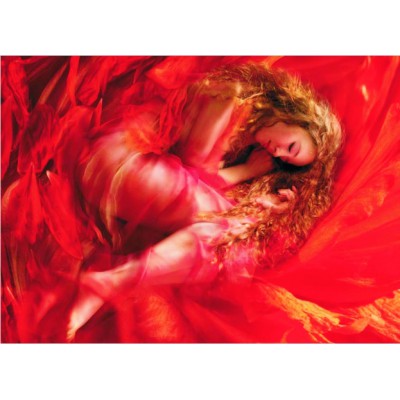 Gold Puzzle Schlafende Schönheit 1000 Teile Puzzle Gold-Puzzle-60102