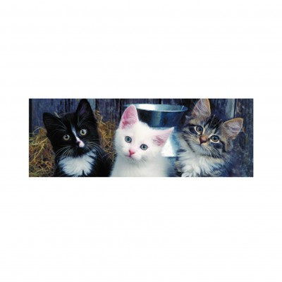 Dino XXL Teile - Panorama-Puzzle - Three Kittens 150 Teile Puzzle Dino-39333