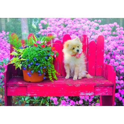Bluebird Puzzle Puppy in the Colorful Garden 500 Teile Puzzle Bluebird-Puzzle-F-90107