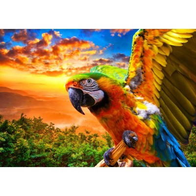 Bluebird Puzzle Parrot 1000 Teile Puzzle Bluebird-Puzzle-F-90263