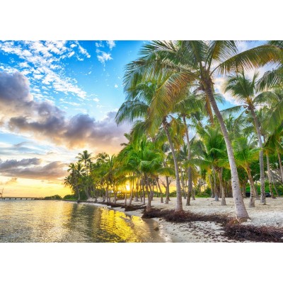 Bluebird Puzzle Guadeloupe - Anse Champagne 500 Teile Puzzle Bluebird-Puzzle-F-90414