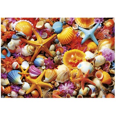 Educa Shell Collage 1000 Teile Puzzle Educa-20246