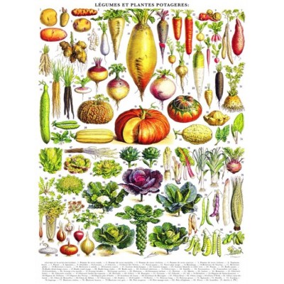 New York Puzzle Company Vegetables - Légumes 1000 Teile Puzzle New-York-Puzzle-PD635