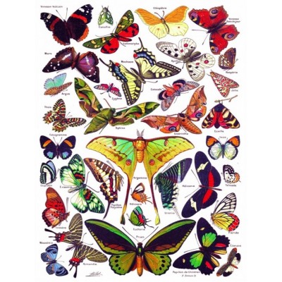 New York Puzzle Company Butterflies - Papillons 1000 Teile Puzzle New-York-Puzzle-PD633
