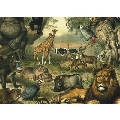 Kiub Tiere der Savanne 1000 Teile Puzzle Kiub-80301
