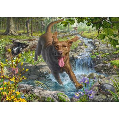 Schmidt Spiele Mark Fredrickson - Retriever im Frühling 1000 Teile Puzzle Schmidt-Spiele-58559