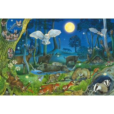 Schmidt Spiele Tiere Nachts im Wald 100 Teile Puzzle Schmidt-Spiele-56529