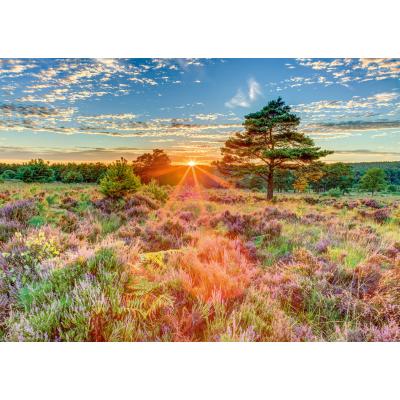 Schmidt Spiele Heide im Sonnenuntergang 1000 Teile Puzzle Schmidt-Spiele-59768