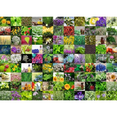 Ravensburger 99 Kräuter und Gewürze 1000 Teile Puzzle Ravensburger-00073