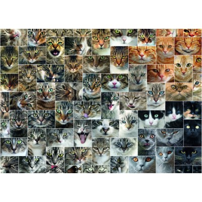 DToys Collage - Katzen 1000 Teile Puzzle Dtoys-75260
