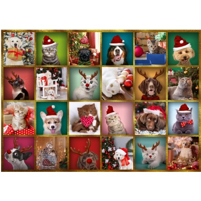Trefl Adventskalender Tiere 42 Teile Puzzle Trefl-93615