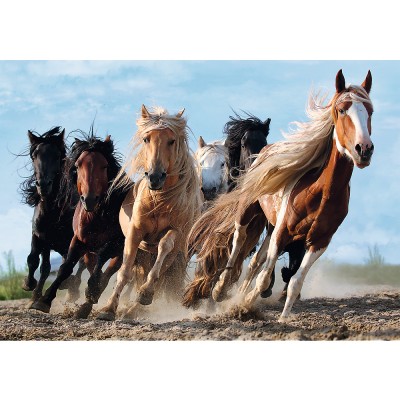 Trefl Pferde 1000 Teile Puzzle Trefl-10446