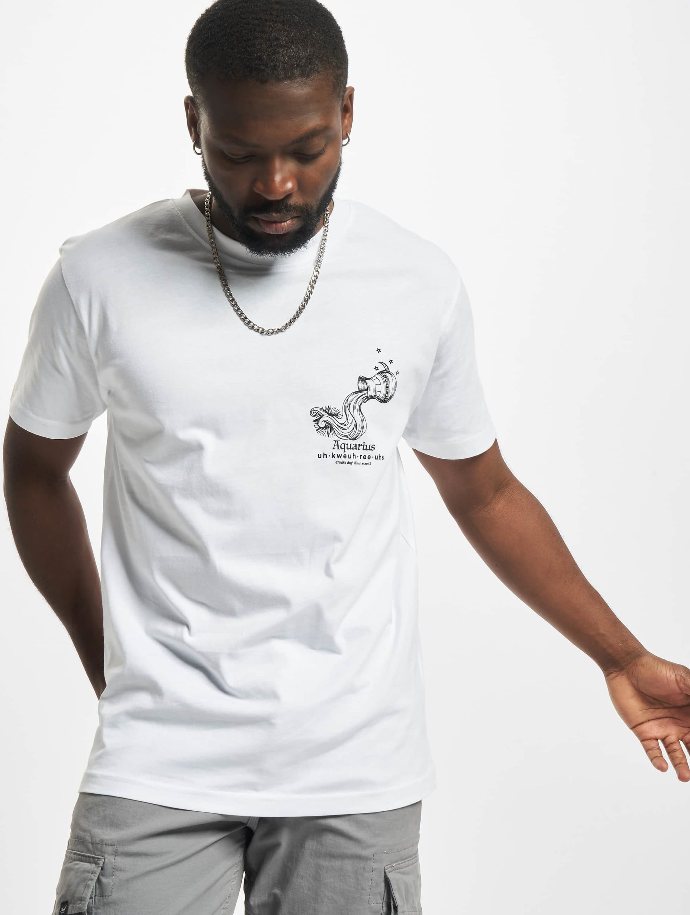 Mister Tee Astro Aquarius