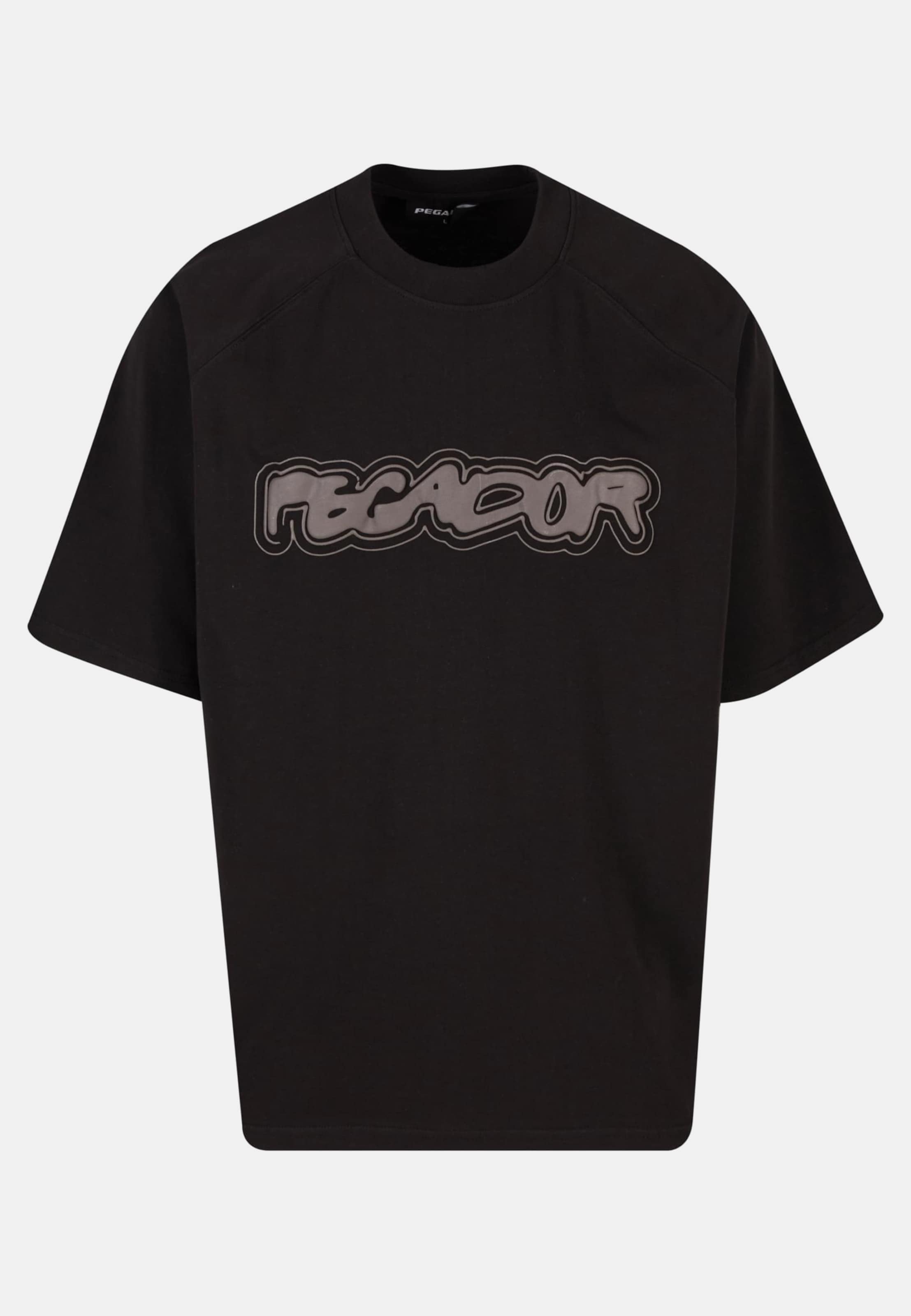 PEGADOR Anclar Oversized Raglan T-Shirt