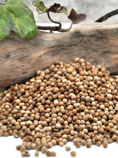 Bio Koriandersaat - ganze Samen