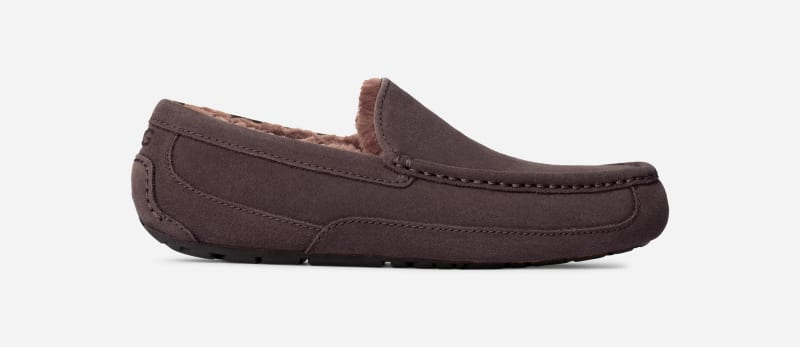 UGG® Ascot Hausschuh für Herren | UGG® EU in Dusted Cocoa, Größe 40, Veloursleder
