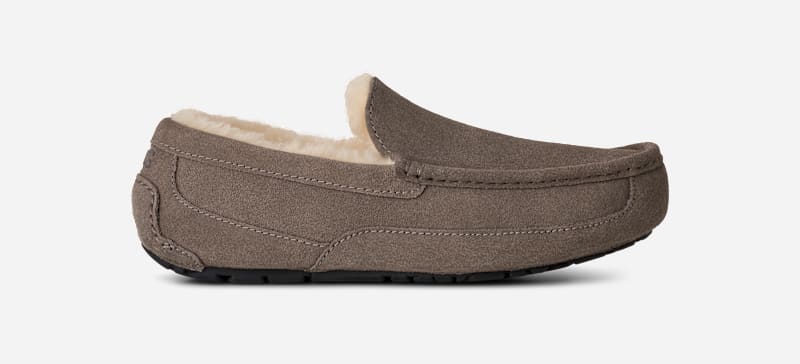 UGG® Ascot Hausschuh für Herren | UGG® EU in Grey, Größe 40, Wildleder
