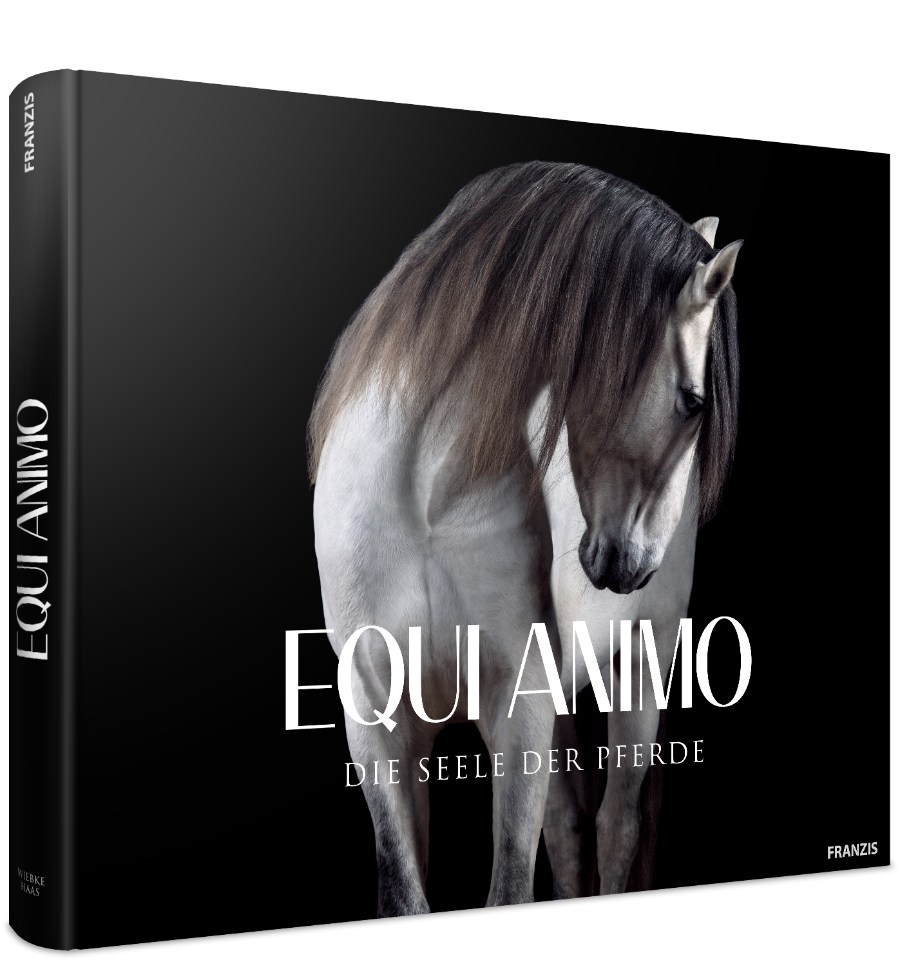 Equi Animo - Die Seele der Pferde