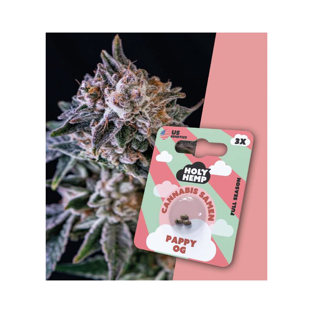 Holy Hemp Pappy OG Cannabis Samen Full Season