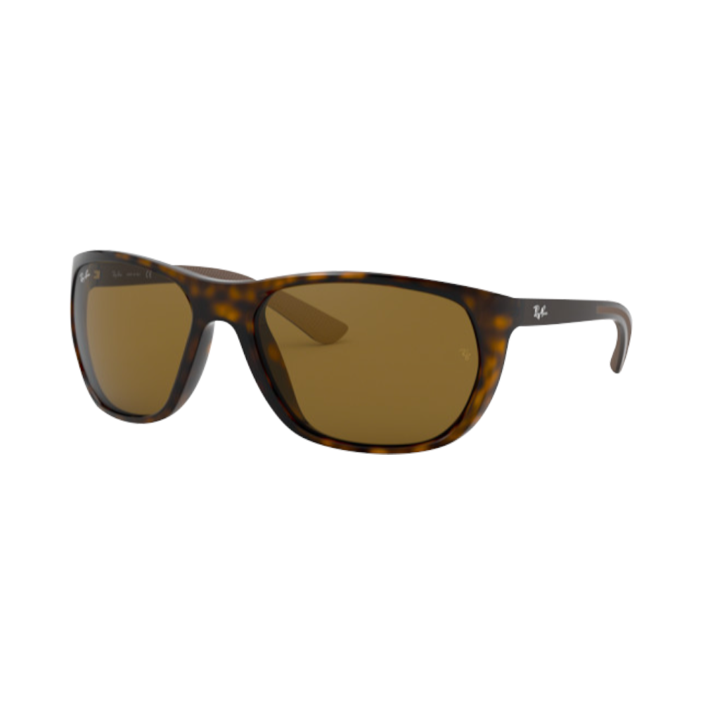 Ray Ban Rb4307 710/73 61 | Sonnenbrillen