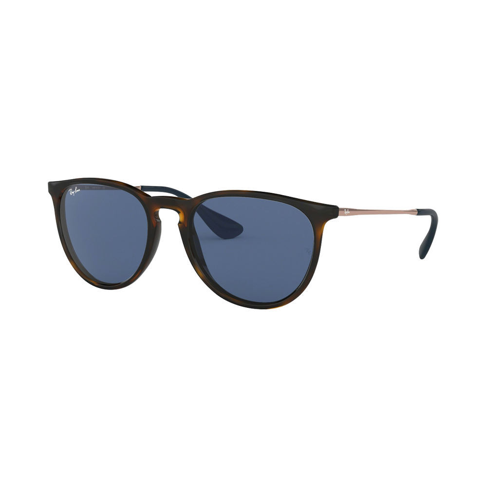 Ray Ban Rb4171 6390/80 54 Erika | Sonnenbrillen