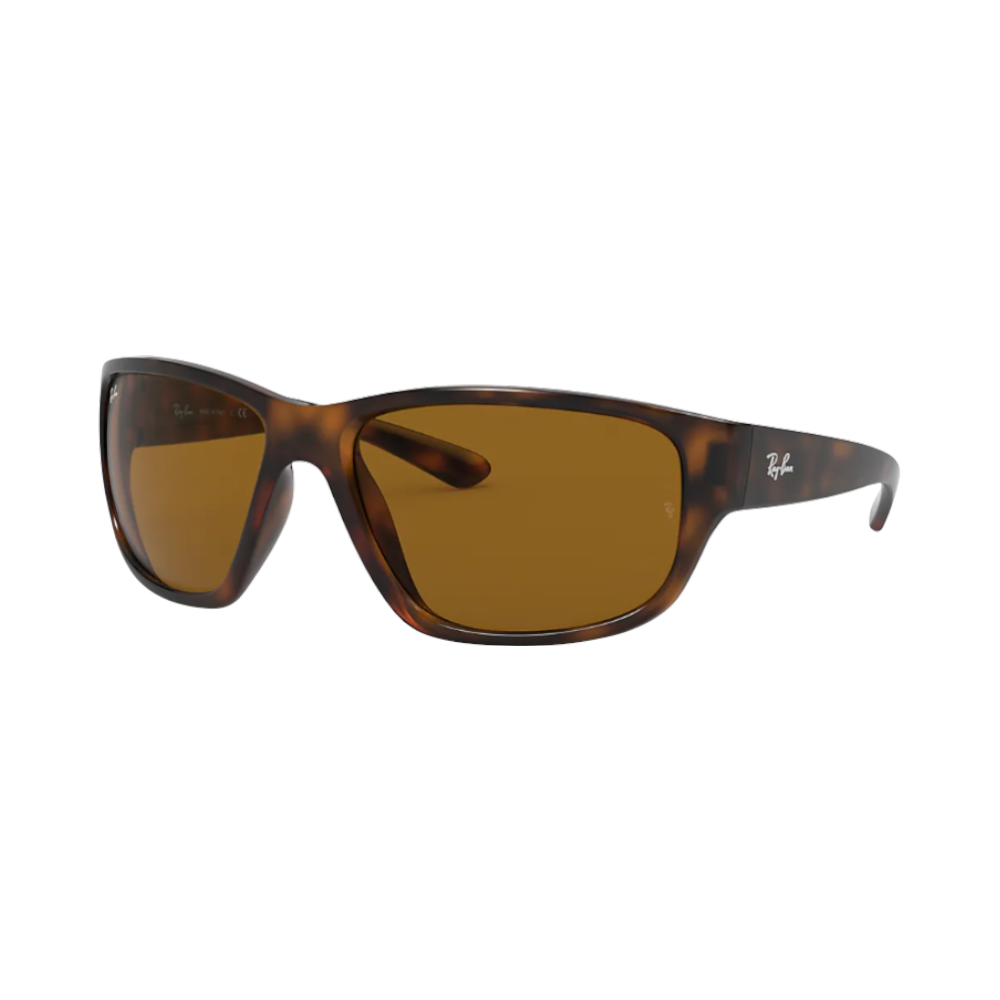 Ray-Ban Rb4300 710/33 63 | Sonnenbrillen