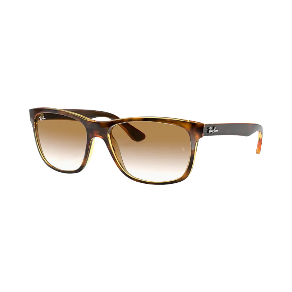 Ray Ban Rb4181 710/51 Wayfarer | Sonnenbrillen