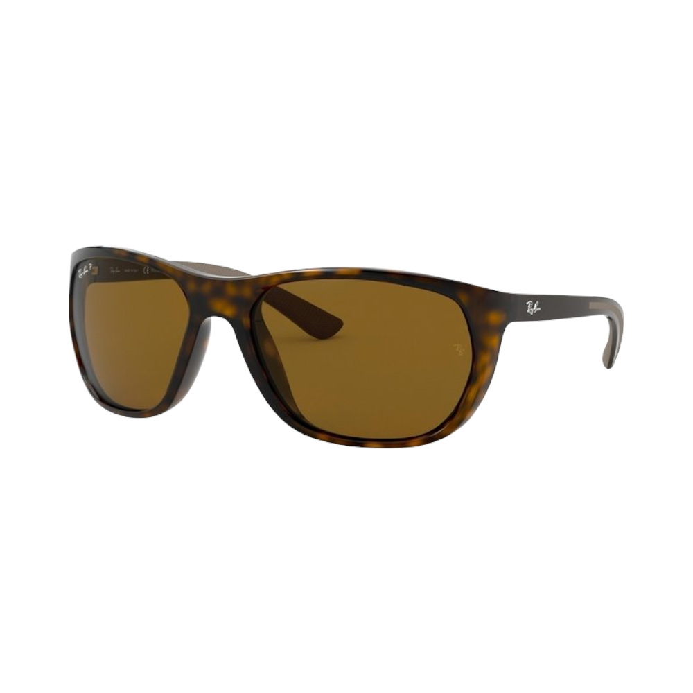 Ray Ban Rb4307 710/83 61 | Sonnenbrillen
