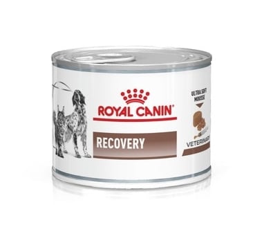 ROYAL CANIN Vet dog cat recovery 195 g Diät-Alleinfuttermittel für ausgewachsene Hunde und ausgewachsene Katzen