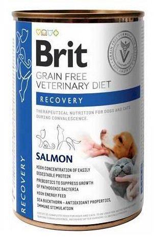 BRIT Veterinary Diet Recovery Salmon Nassfutter für Hunde und Katzen 400 g